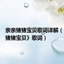 亲亲猪猪宝贝歌词详解（《亲亲猪猪宝贝》歌词）