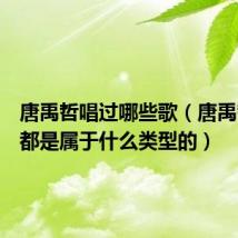 唐禹哲唱过哪些歌（唐禹哲的歌都是属于什么类型的）