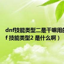 dnf技能类型二是干嘛用的（dnf 技能类型2 是什么啊）