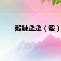 觳觫辵辵（觳）