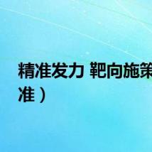 精准发力 靶向施策（精准）
