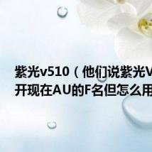 紫光v510（他们说紫光V5可以开现在AU的F名但怎么用呀）