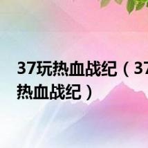 37玩热血战纪（37wan热血战纪）