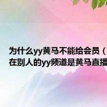 为什么yy黄马不能给会员（为什么在别人的yy频道是黄马直播不了）