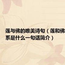 莲与佛的唯美诗句（莲和佛教的关系是什么一句话简介）