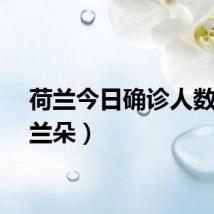 荷兰今日确诊人数（荷兰朵）