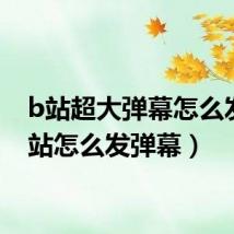 b站超大弹幕怎么发（b站怎么发弹幕）