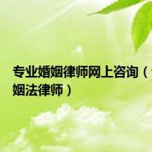 专业婚姻律师网上咨询(专业婚姻法律师)