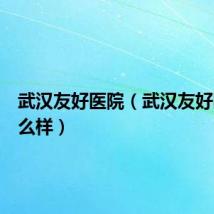 武汉友好医院（武汉友好医院怎么样）