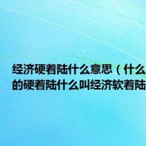 经济硬着陆什么意思(什么叫经济的硬着陆什么叫经济软着陆)