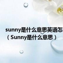 sunny是什么意思英语怎么读音（Sunny是什么意思）