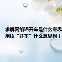 求解网络语开车是什么意思（网络用语“开车”什么意思啊）