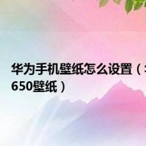 华为手机壁纸怎么设置（华为c8650壁纸）