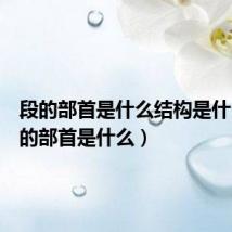 段的部首是什么结构是什么（段的部首是什么）