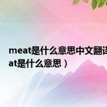 meat是什么意思中文翻译（meat是什么意思）