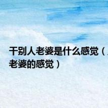 干别人老婆是什么感觉（上别人老婆的感觉）