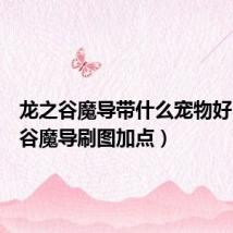 龙之谷魔导带什么宠物好(龙之谷魔导刷图加点)