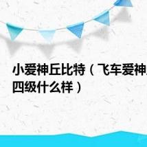 小爱神丘比特（飞车爱神丘比特四级什么样）