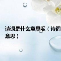 诗词是什么意思呢（诗词是什么意思）