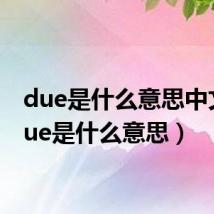 due是什么意思中文（due是什么意思）