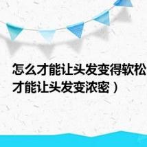 怎么才能让头发变得软松(怎么才能让头发变浓密)