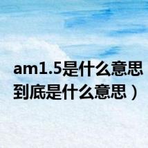 am1.5是什么意思（am 到底是什么意思）