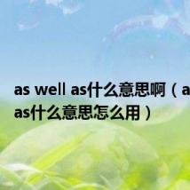 as well as什么意思啊（as well as什么意思怎么用）