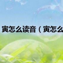 寅怎么读音（寅怎么读）