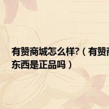有赞商城怎么样?(有赞商城的东西是正品吗)