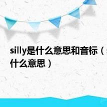 silly是什么意思和音标（silly是什么意思）