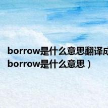 borrow是什么意思翻译成中文（borrow是什么意思）