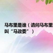 马布里是谁（请问马布里为什么叫“马政委”）