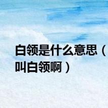 白领是什么意思（什么叫白领啊）