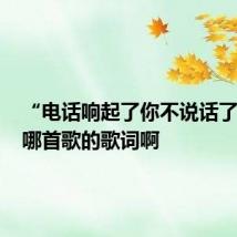 “电话响起了你不说话了...”是哪首歌的歌词啊