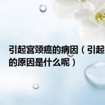 引起宫颈癌的病因（引起宫颈癌的原因是什么呢）