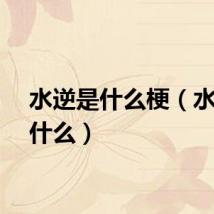 水逆是什么梗（水逆是什么）