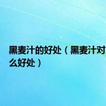 黑麦汁的好处(黑麦汁对人有什么好处)