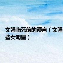 文强临死前的预言(文强上过哪些女明星)