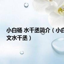 小白杨 水千丞简介(小白杨 军文水千丞)