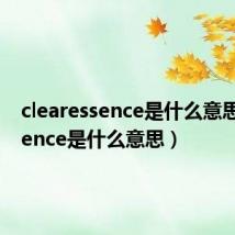 clearessence是什么意思(essence是什么意思)