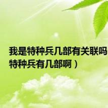 我是特种兵几部有关联吗(我是特种兵有几部啊)