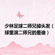 少林足球二师兄掉头发(少林足球里演二师兄的是谁)