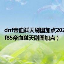 dnf帝血弑天刷图加点2021(dnf85帝血弑天刷图加点)