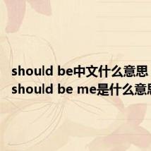 should be中文什么意思(that should be me是什么意思)