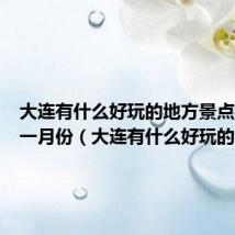 大连有什么好玩的地方景点推荐十一月份(大连有什么好玩的)