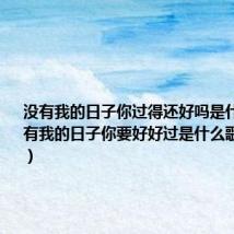 没有我的日子你过得还好吗是什么歌(没有我的日子你要好好过是什么歌曲的歌词)