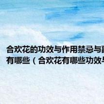 合欢花的功效与作用禁忌与副作用有哪些(合欢花有哪些功效与作用)