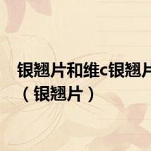 银翘片和维c银翘片区别（银翘片）