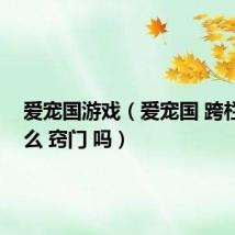 爱宠国游戏(爱宠国 跨栏 有什么 窍门 吗)