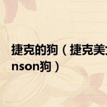 捷克的狗(捷克美女johnson狗)
